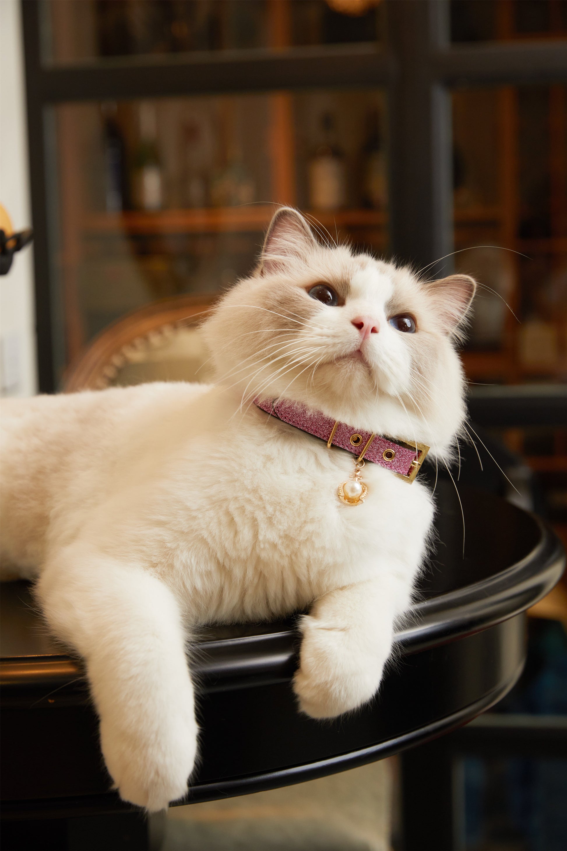 Rose Glitter Leather Collar with Crown