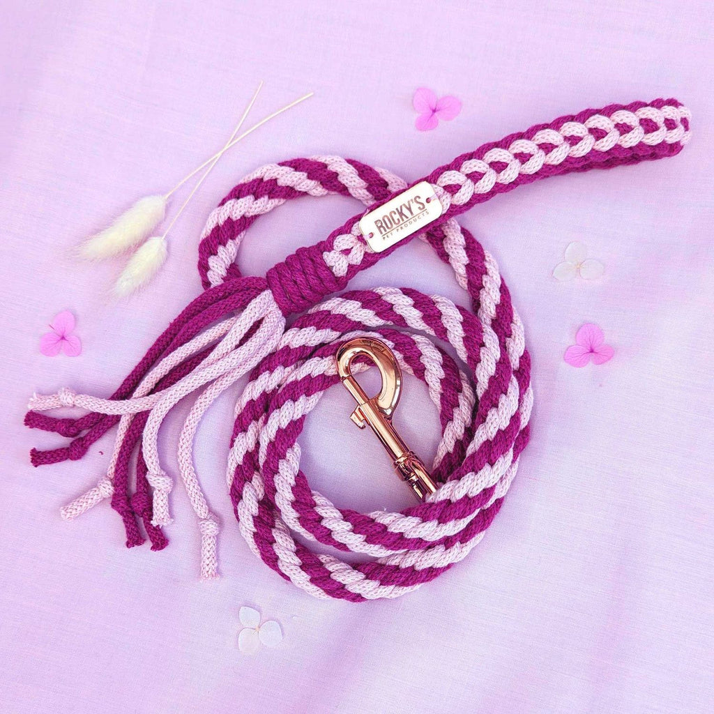 Make Your Own Dog Lead Craft Kit in Pink