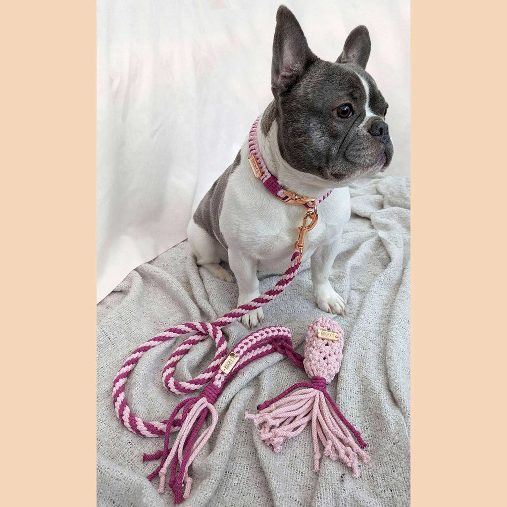 Make Your Own Dog Lead Craft Kit in Pink