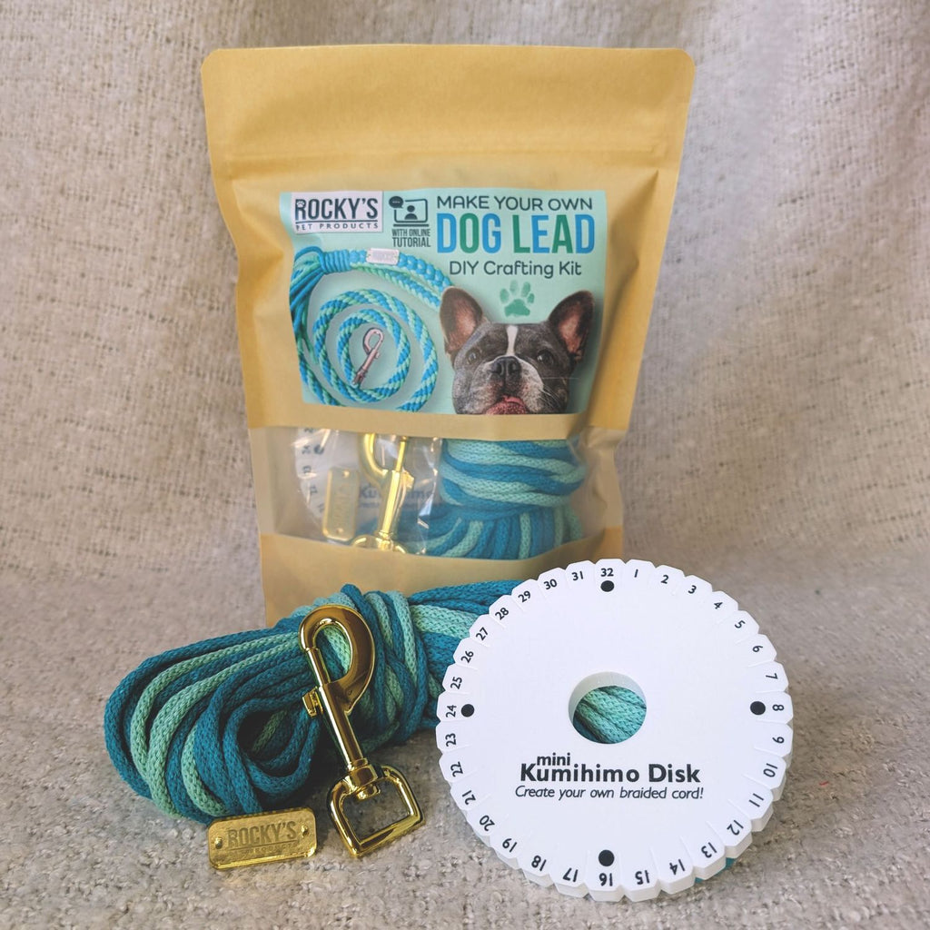 Make Your Own Dog Lead Craft Kit in Mint