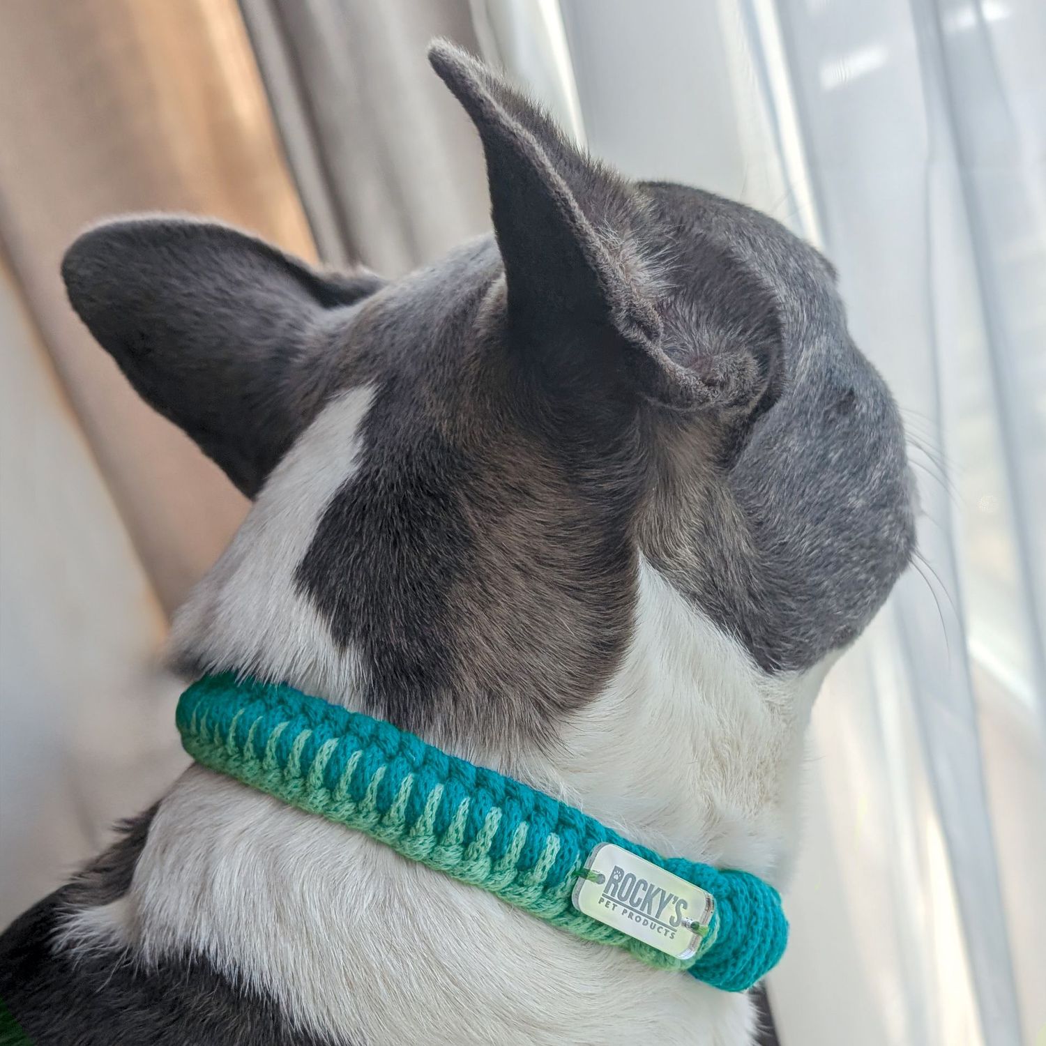Make Your Own Macrame Dog Collar and Friendship Bracelet Craft Kit in Mint