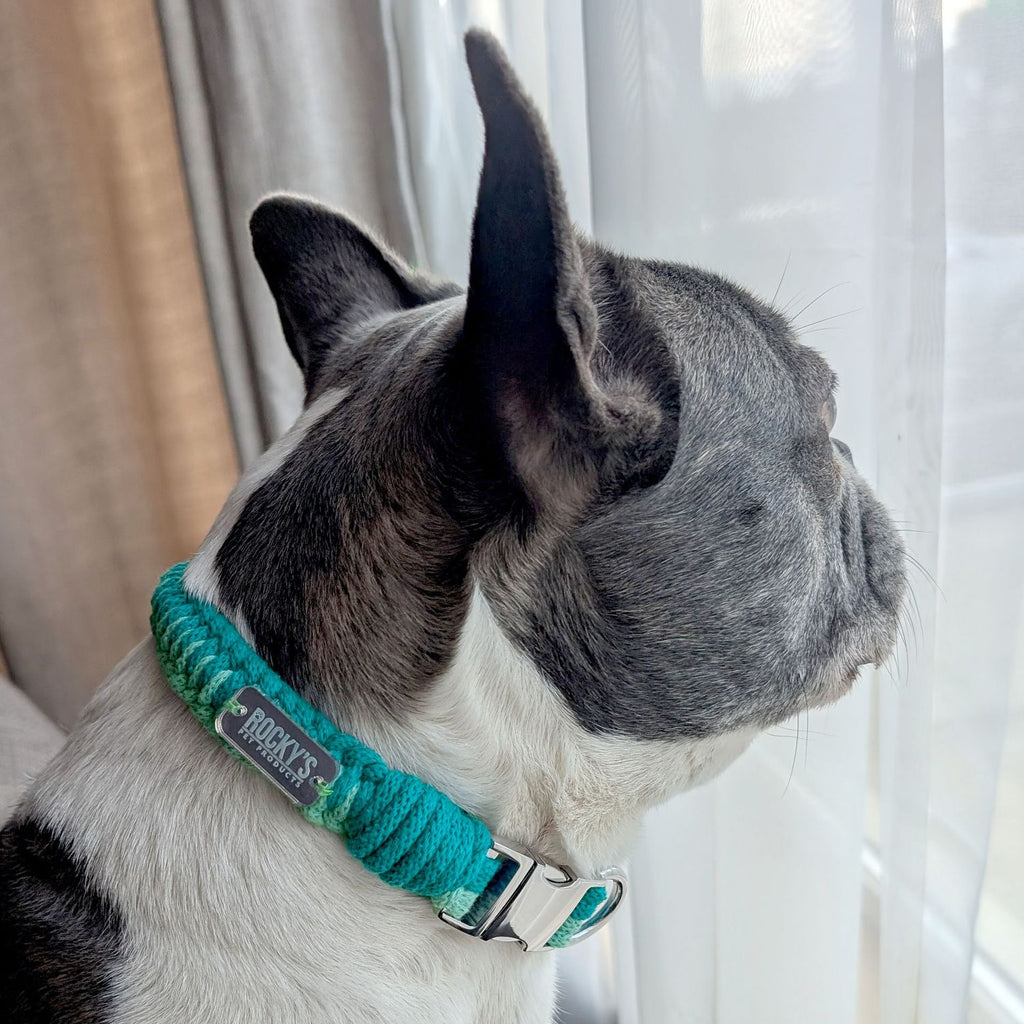 Make Your Own Macrame Dog Collar and Friendship Bracelet Craft Kit in Mint