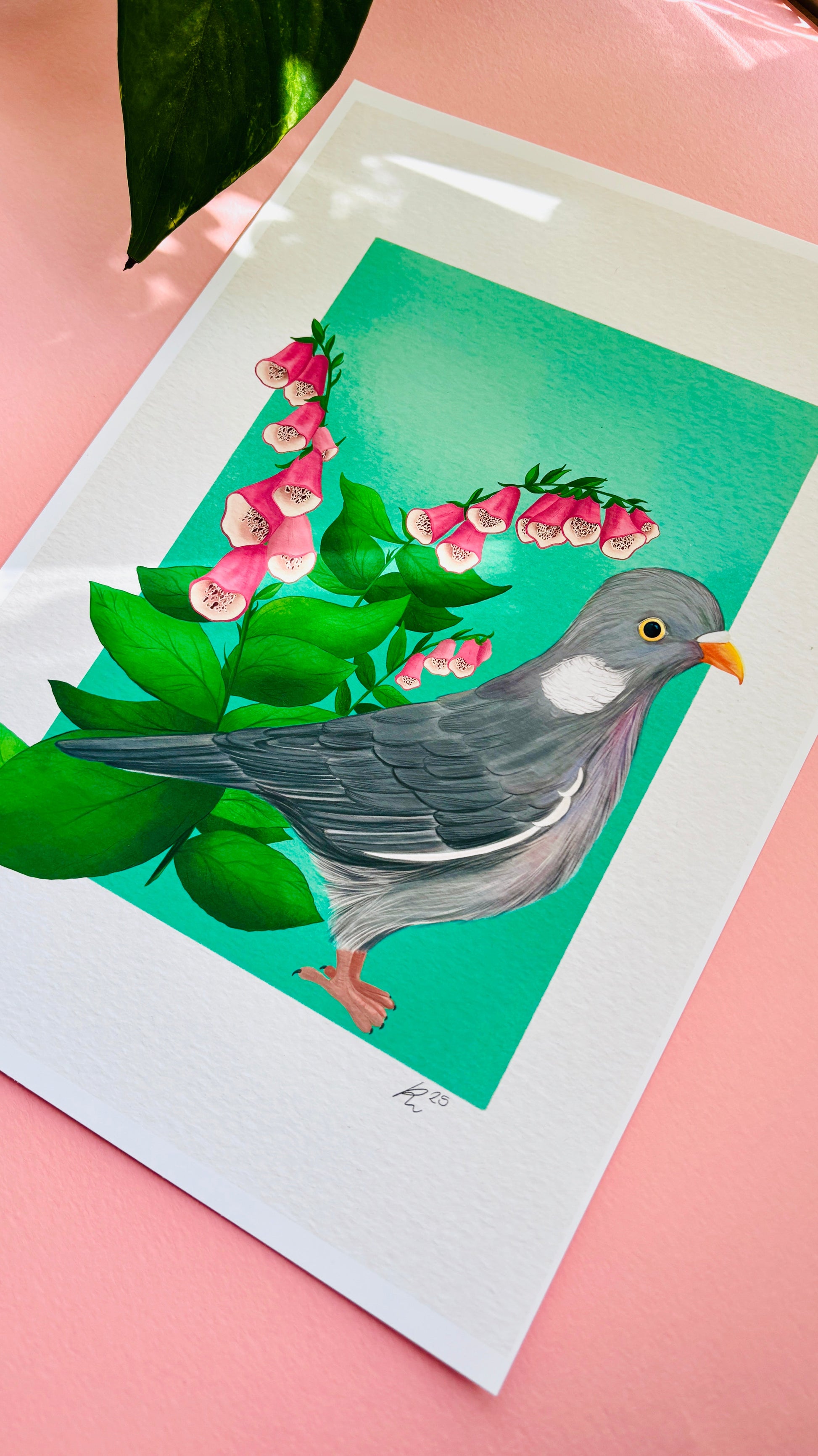 Wood Pigeon and Foxglove Art Print British Wildlife Illustration