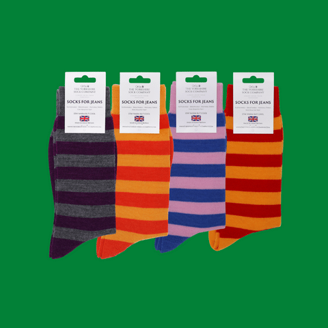 Bright Everyday Merino Socks 4 Pair Bundle