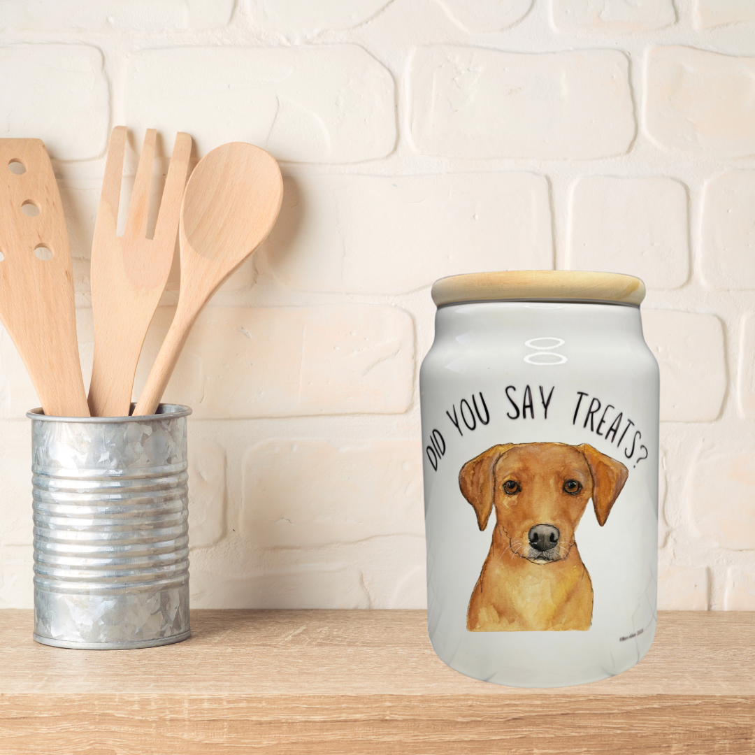 In Case of Emergency Break for Biscuits Ceramic Treat Jar