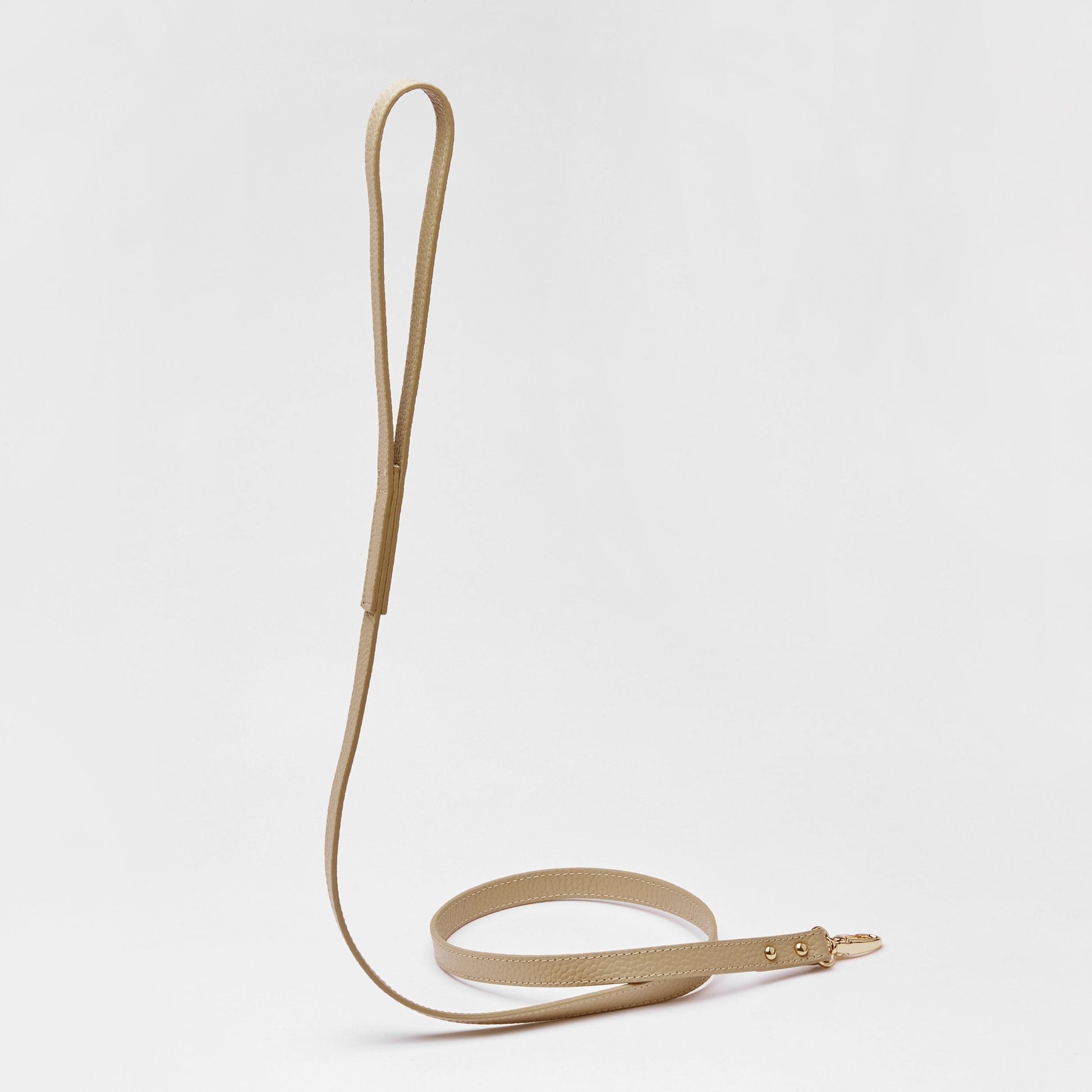 Leather Lead in Six Colours