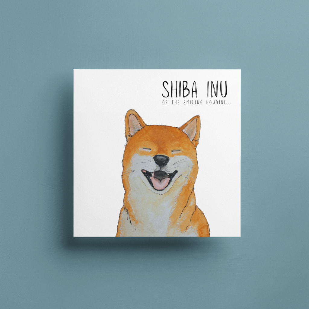 Shiba Inu Birthday Greeting Card with Sass and Escape Artist Energy