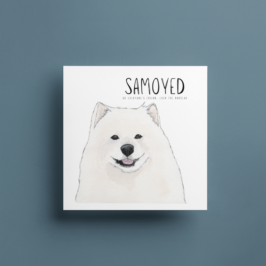 Fluff Love and Alibis Samoyed Greeting Card
