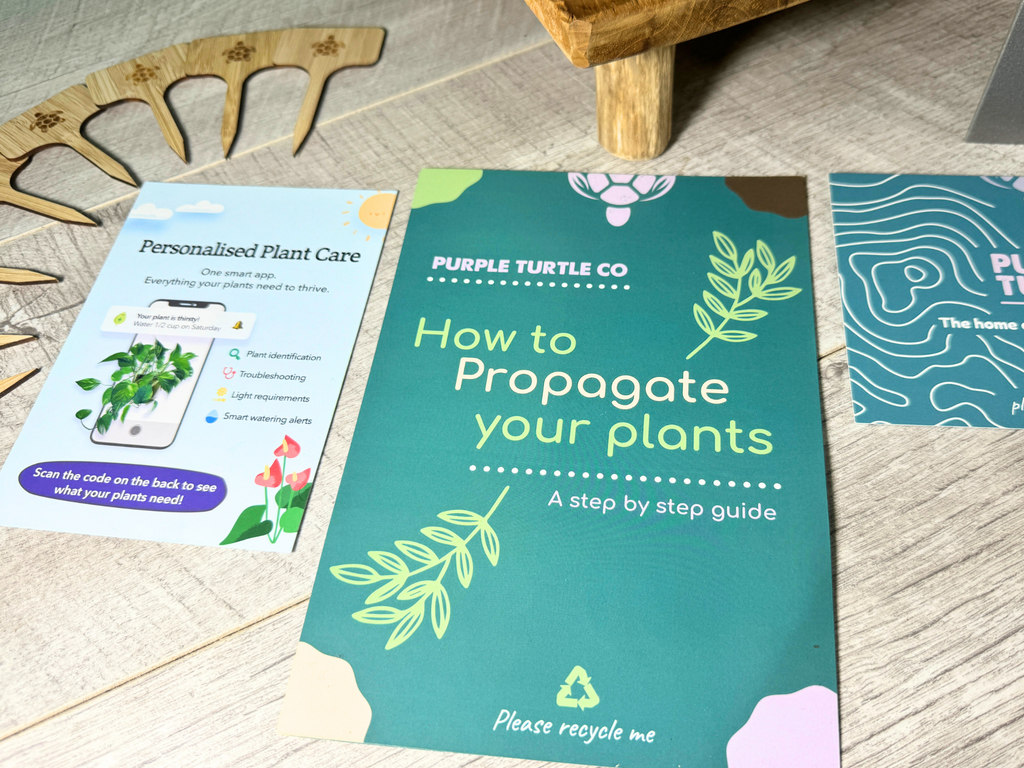 Plant Propagation Gift Set for Home Growers