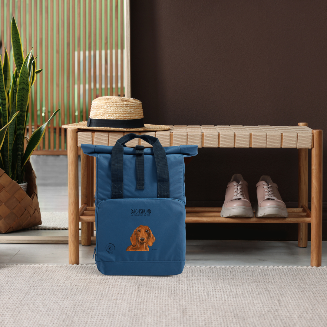 Dachshund Roll Top Backpack Small Dog Big Adventure
