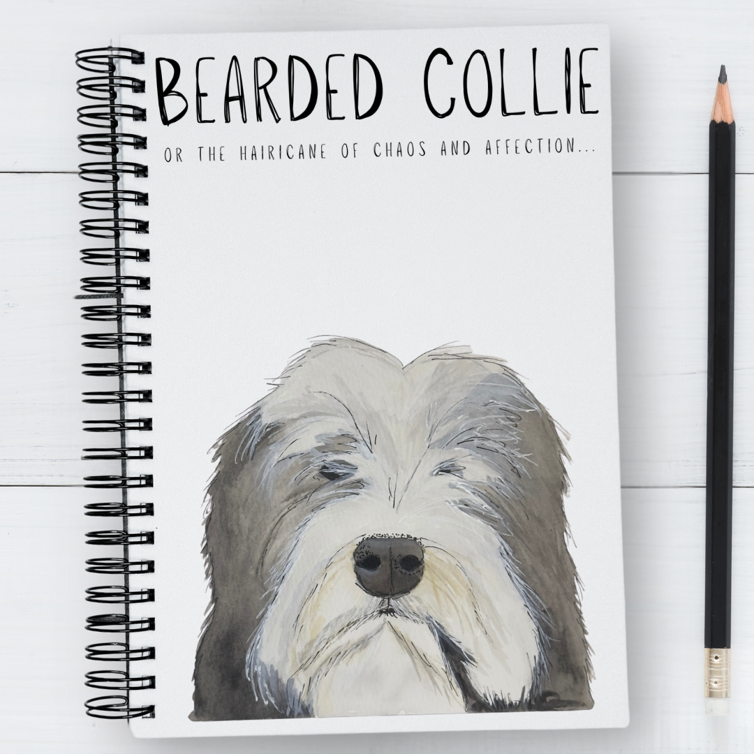Bearded Collie Notebook of Genius