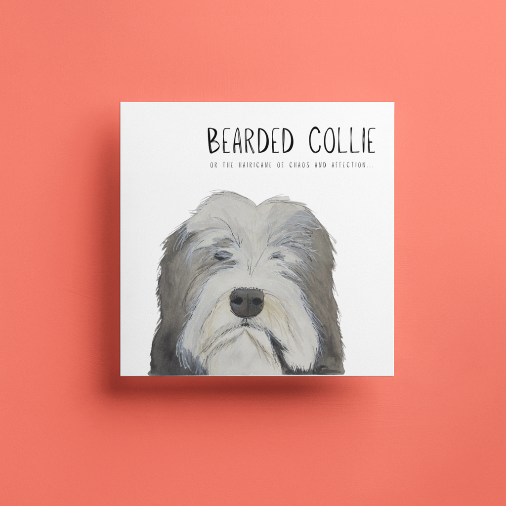 Bearded Collie Greeting Card with Kraft Envelope