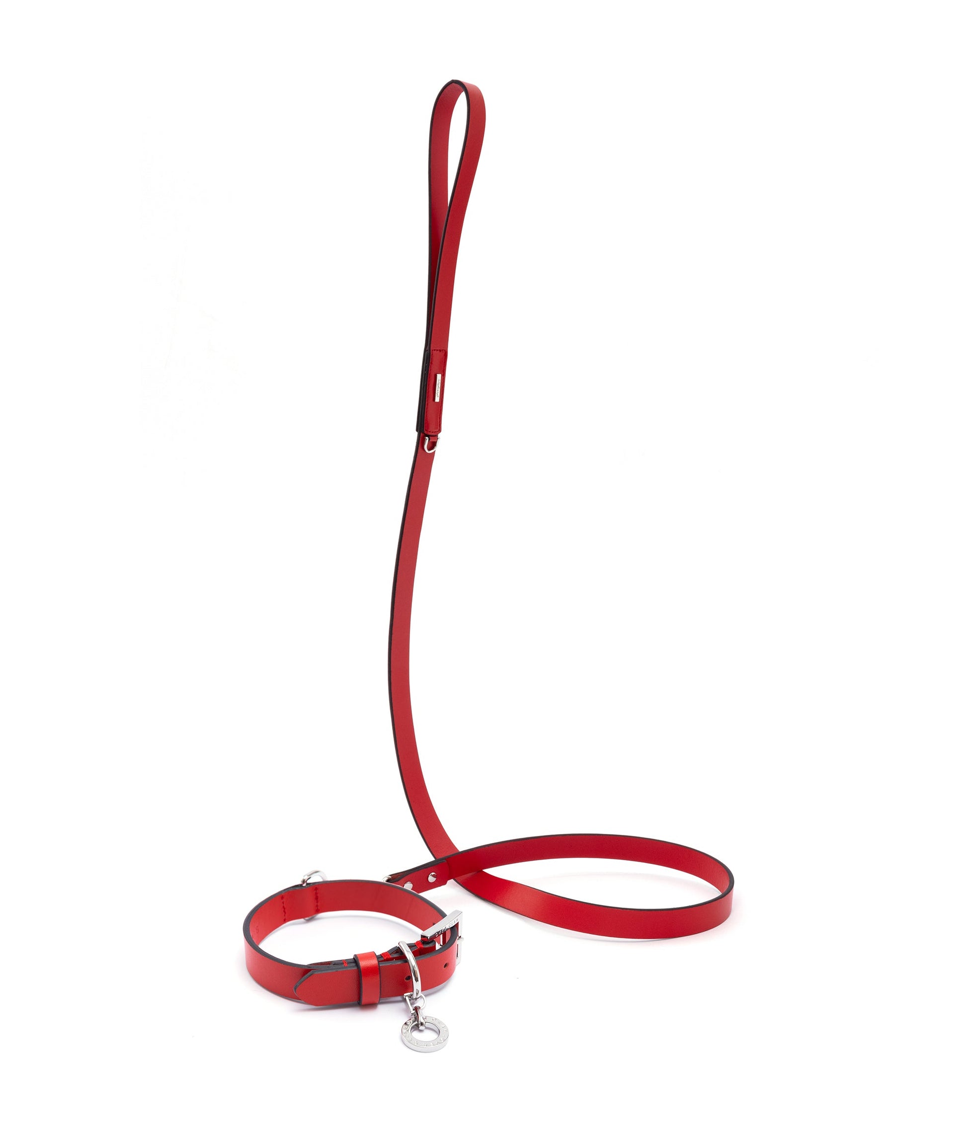 Premium Leather Lead and Collar Set