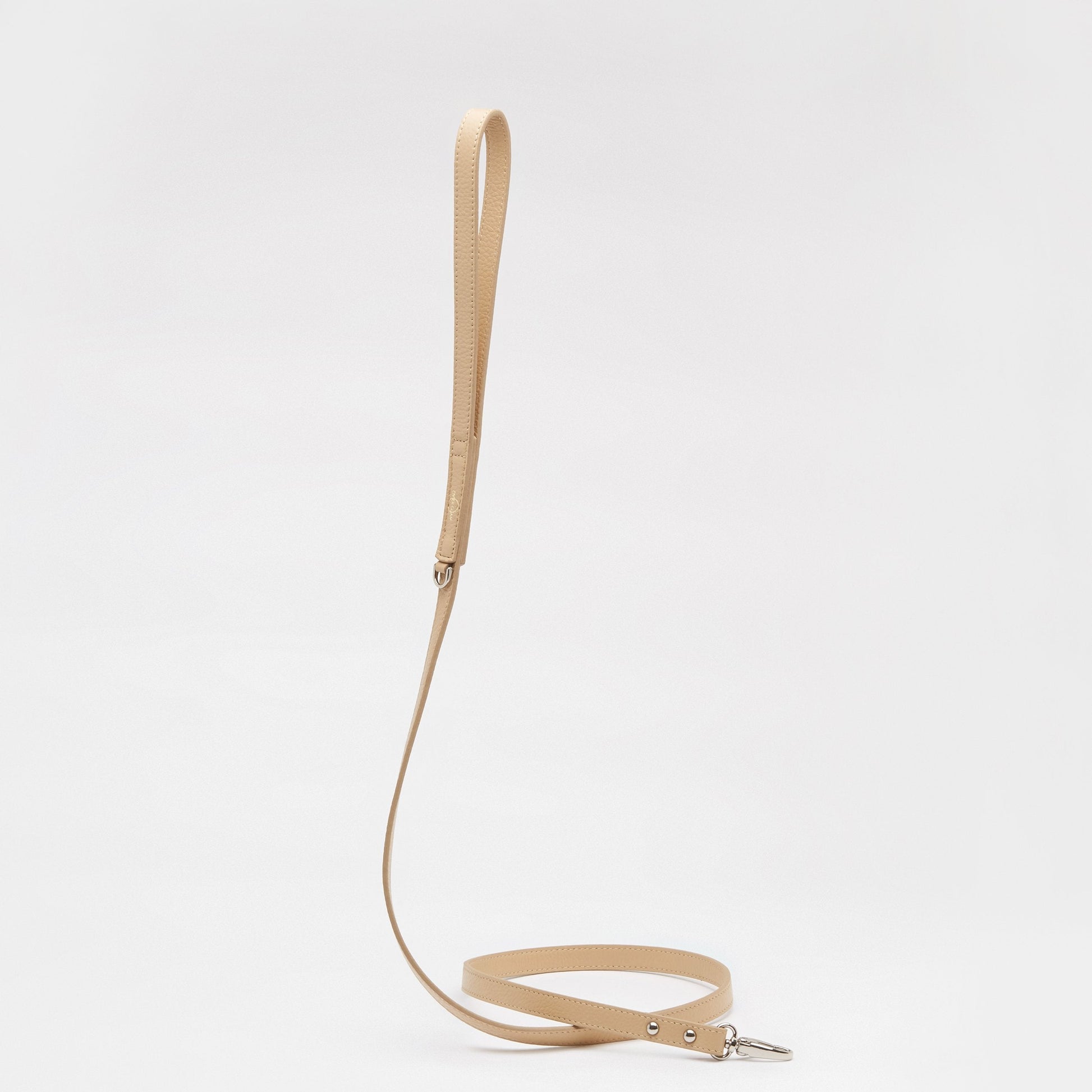 Leather Lead in Six Colours