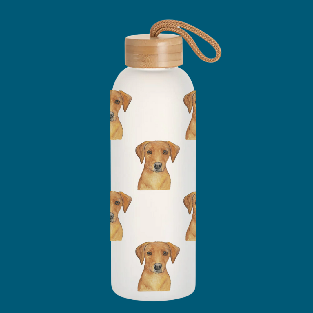 Stay Pawsitively Hydrated Glass Water Bottle