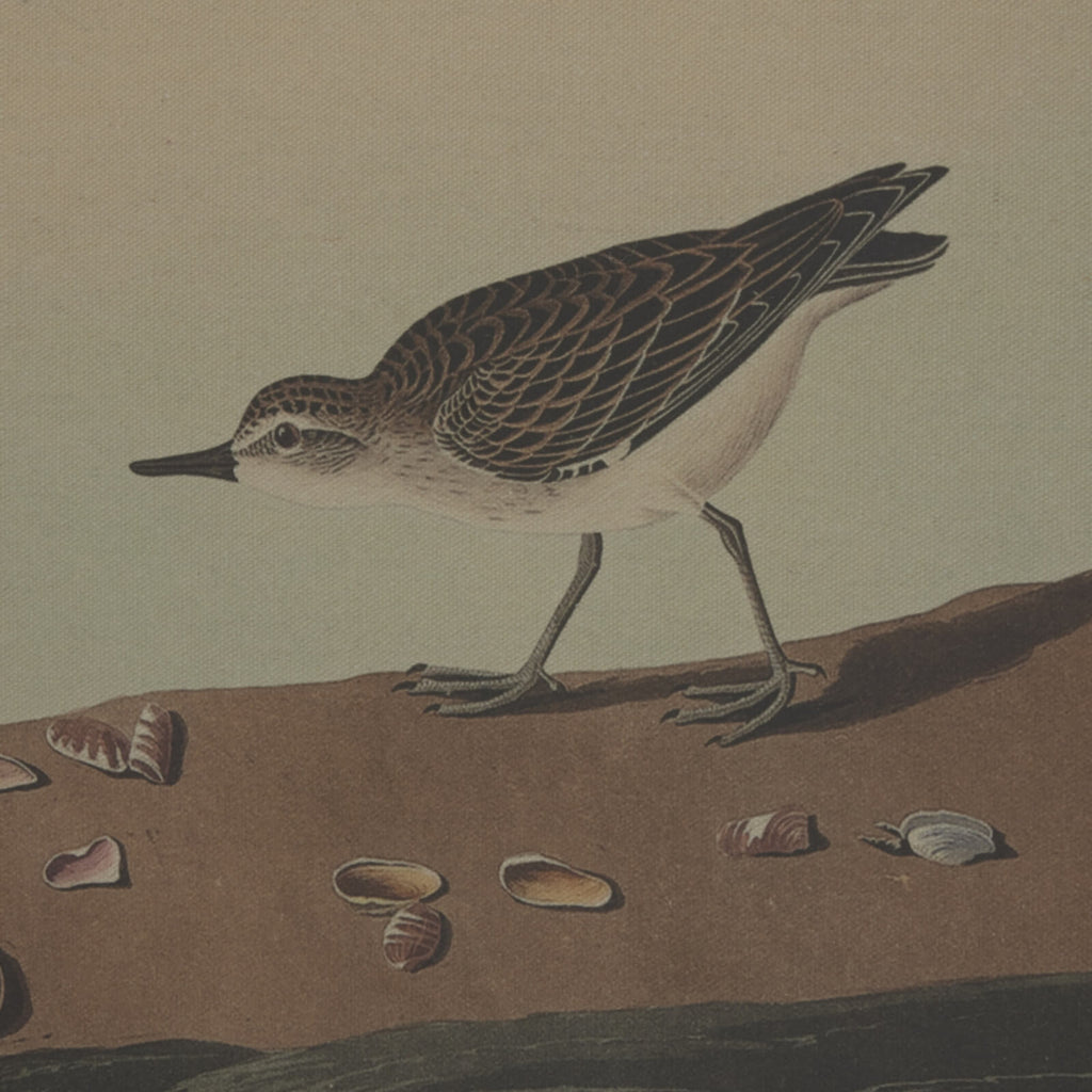 Elegant floral artwork in earthy brown tones with beaded frame on linen, 45x62cm, nature-inspired home decor by Sostter at brixbailey.com