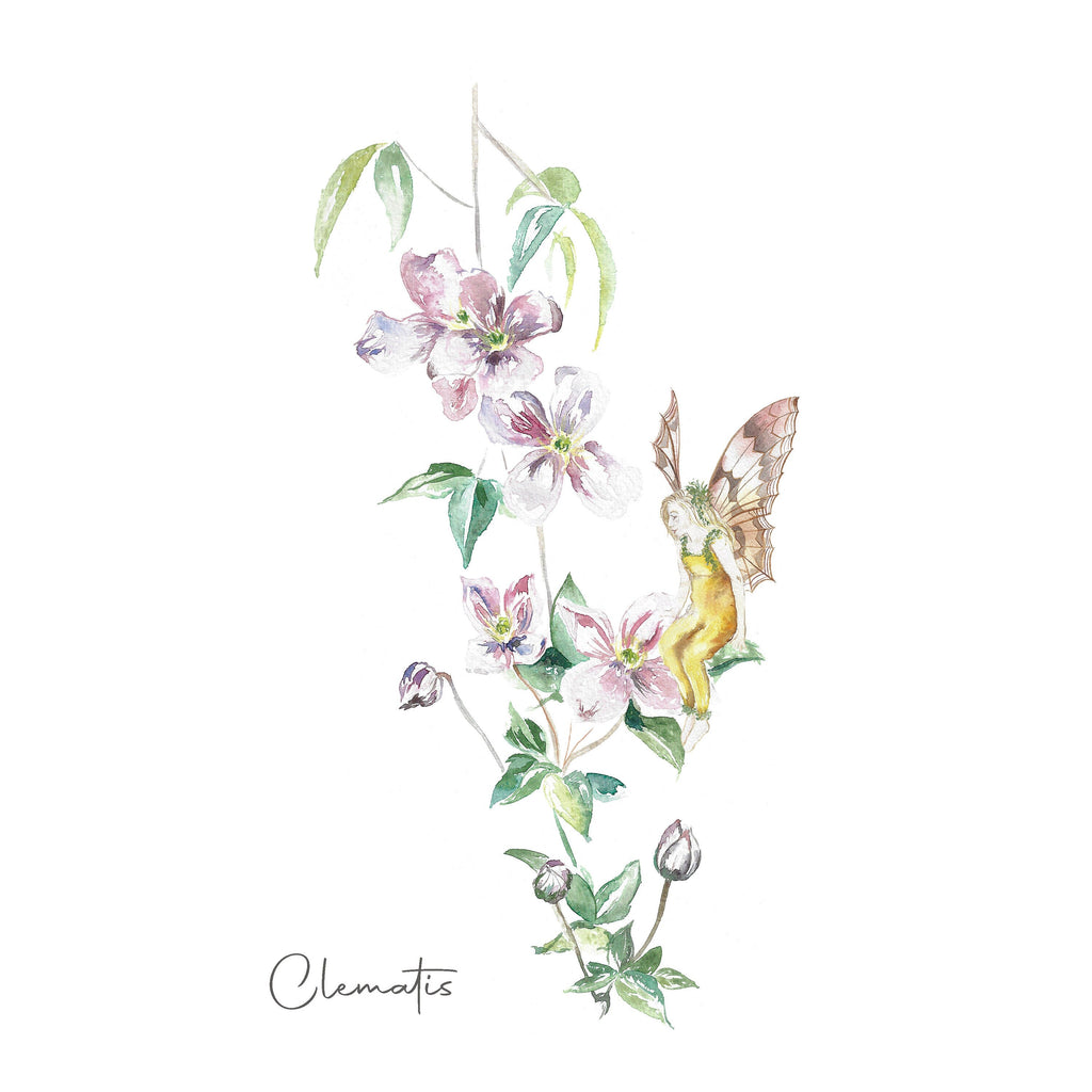 Clematis Fairy Fine Art Print