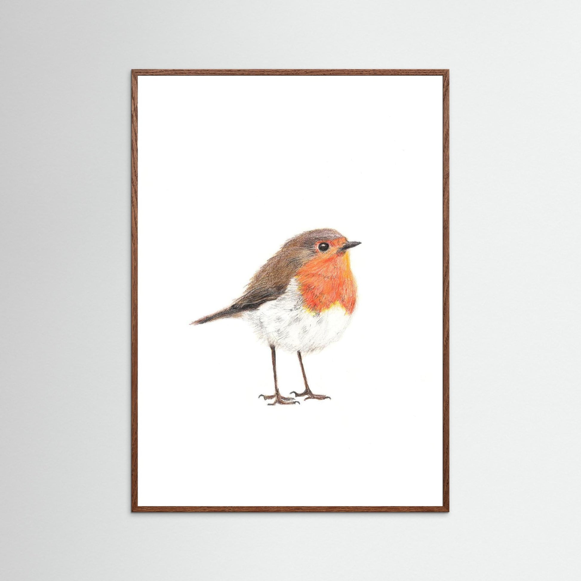 Robin Art Print Wildlife Wall Art for Nature Lovers