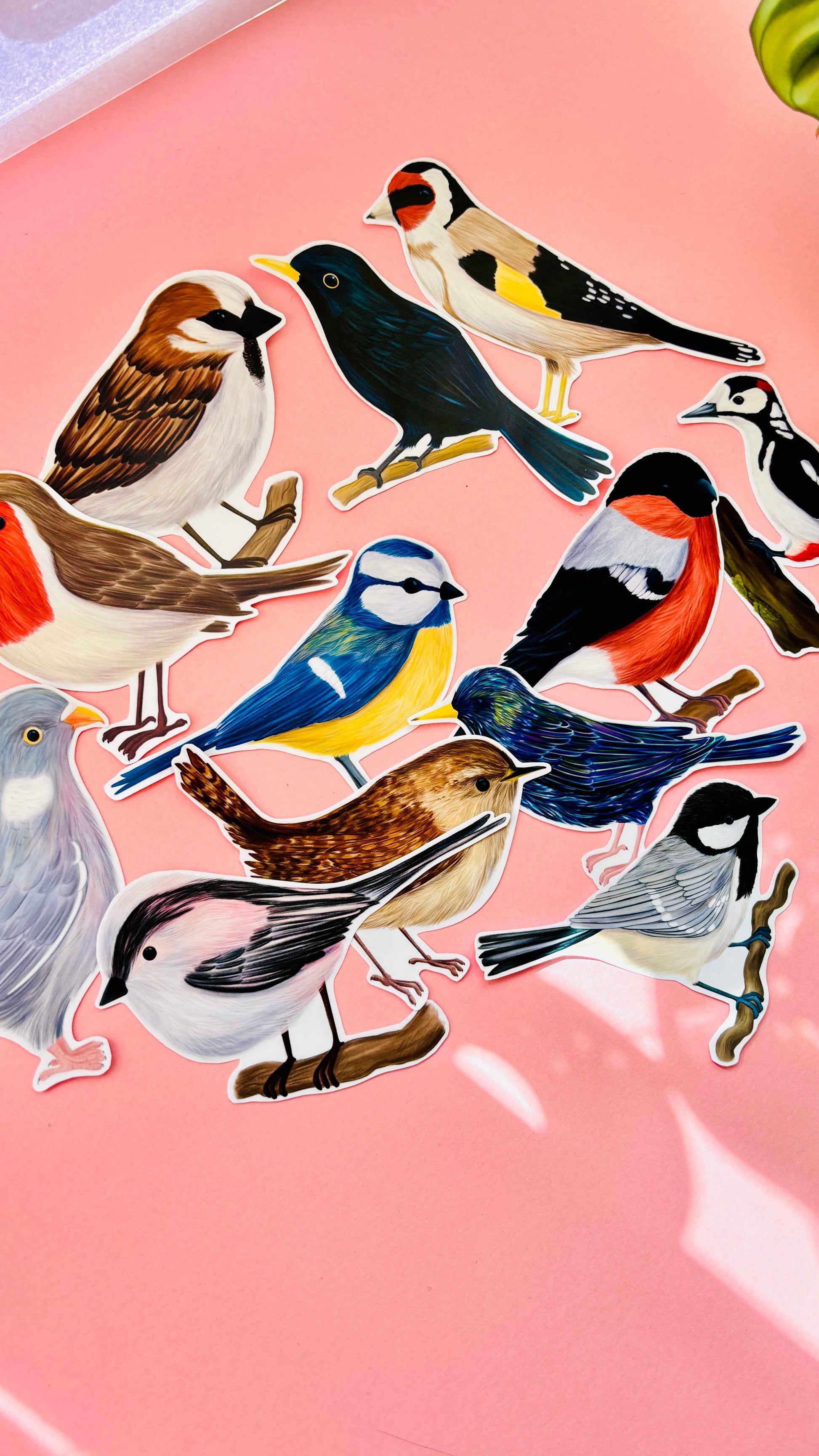 Garden Birds 10cm Vinyl Stickers Nature Inspired Waterproof Decals