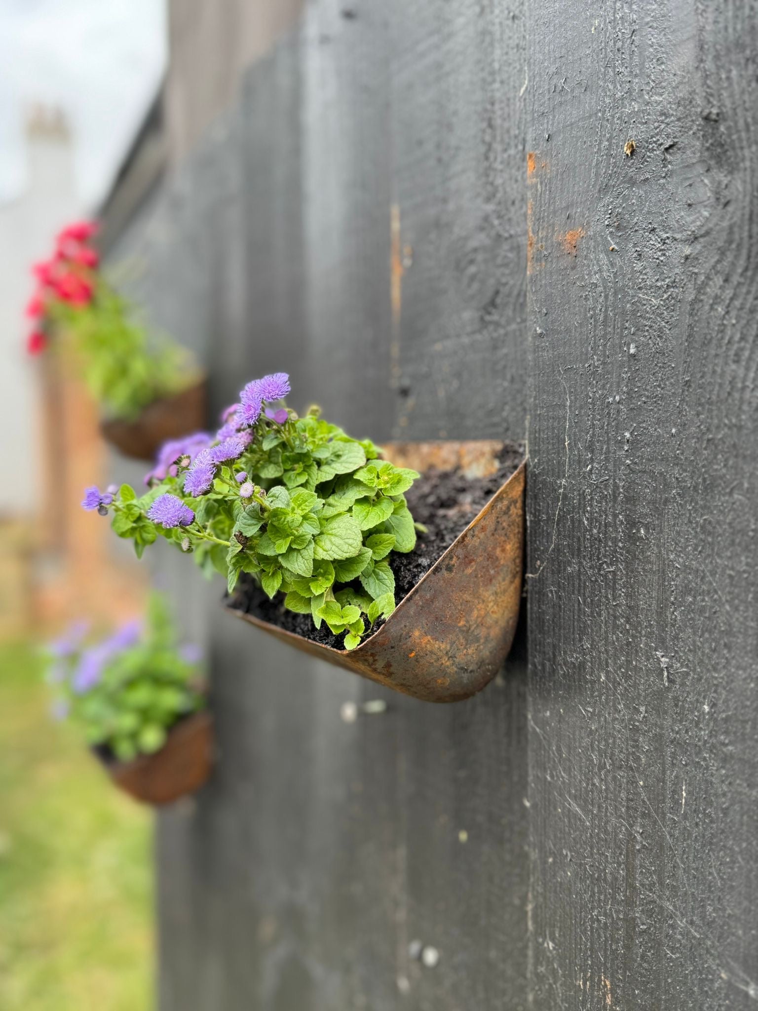 Vintage Rusty Metal Wall Mounted Planter