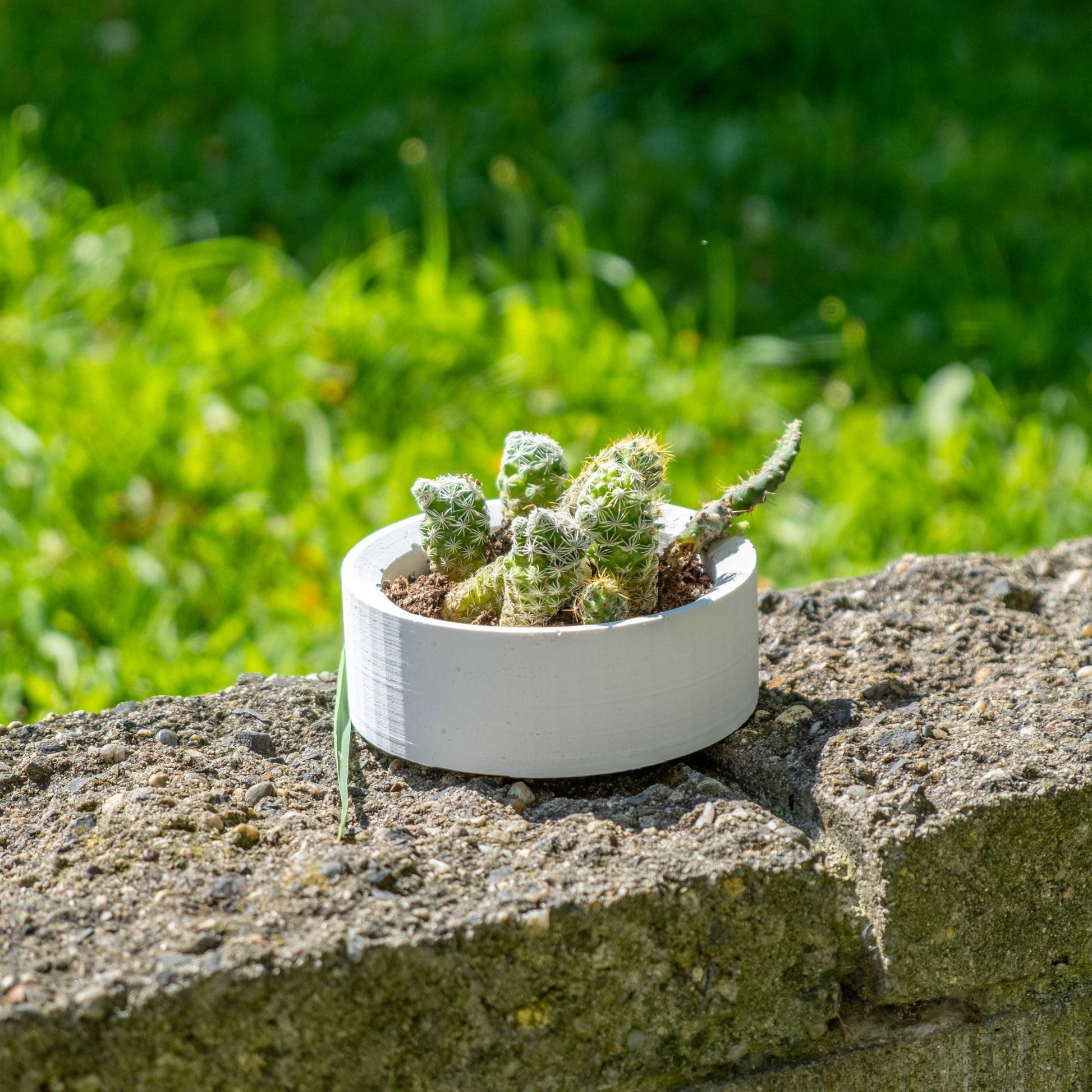 White Concrete Handle Pot