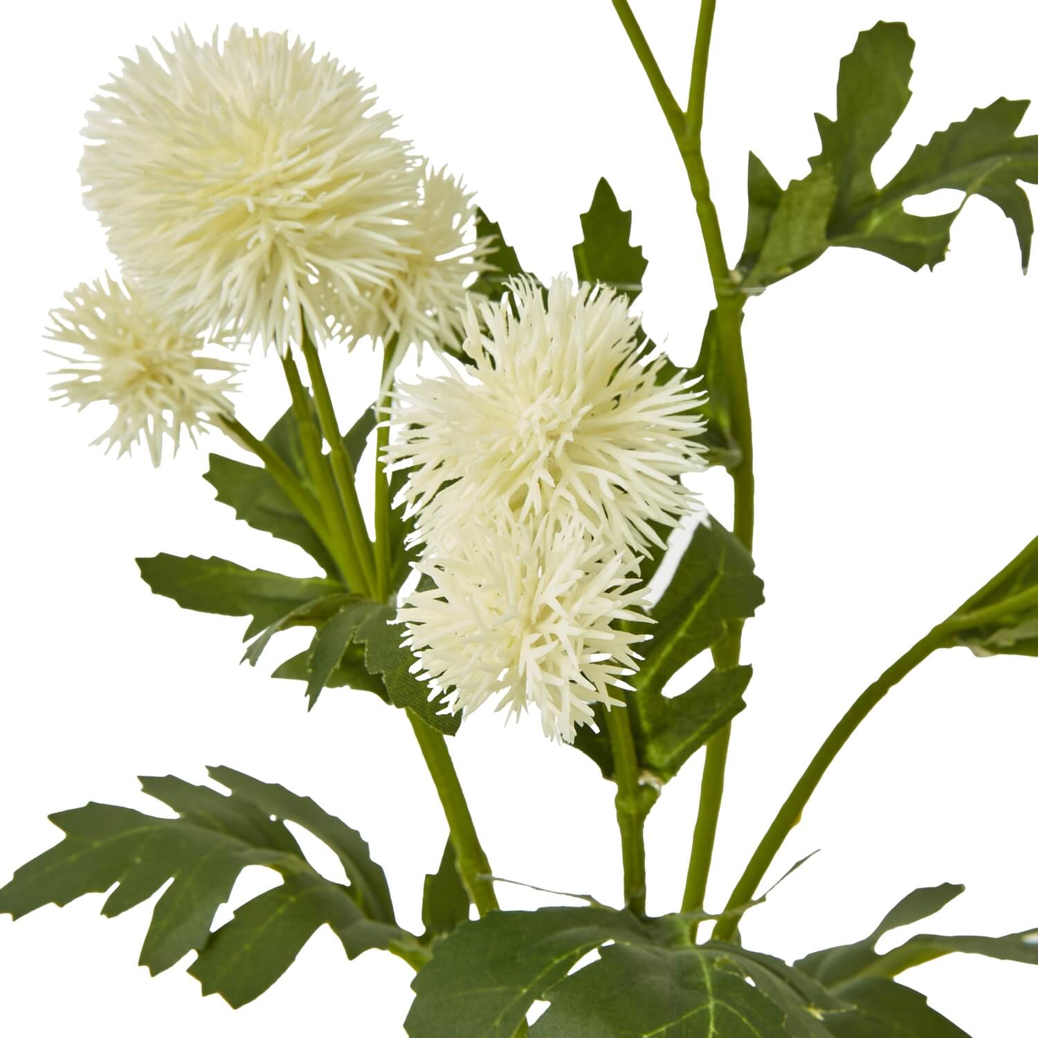 Cream faux globe thistle spray with lifelike texture, 56cm tall, for elegant home decor by Sostter at brixbailey.com