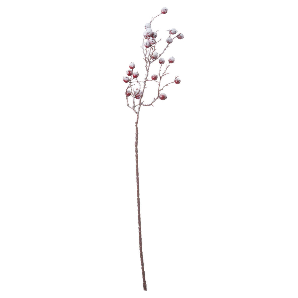 Lifelike red festive berry stems with frost detailing, perfect for winter wreaths and centerpieces. by sostter at brixbailey.com