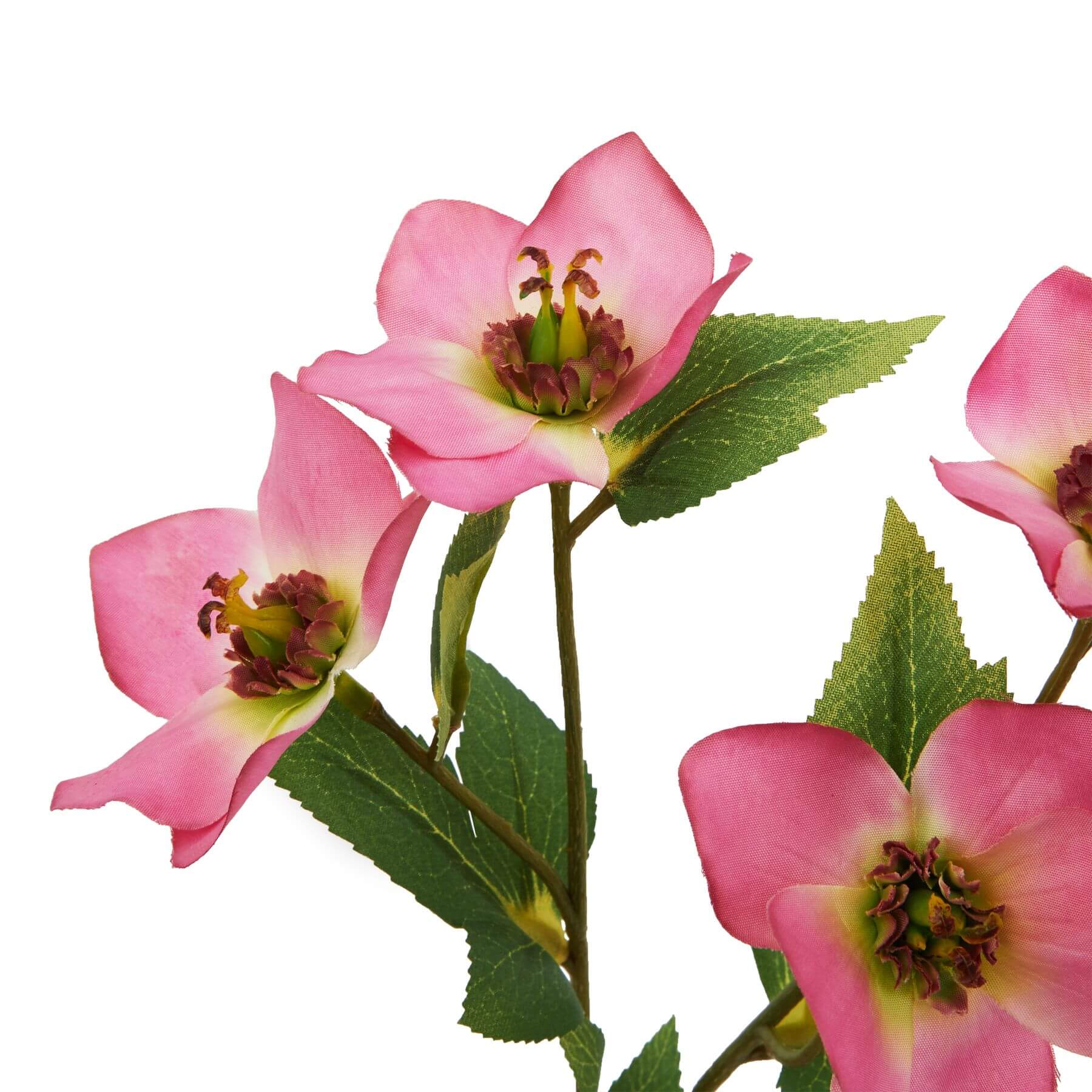 Artificial pink hellebore flower with variegated petals, 47 cm tall, plastic stem for year-round freshness.by sostter at brixbailey.com