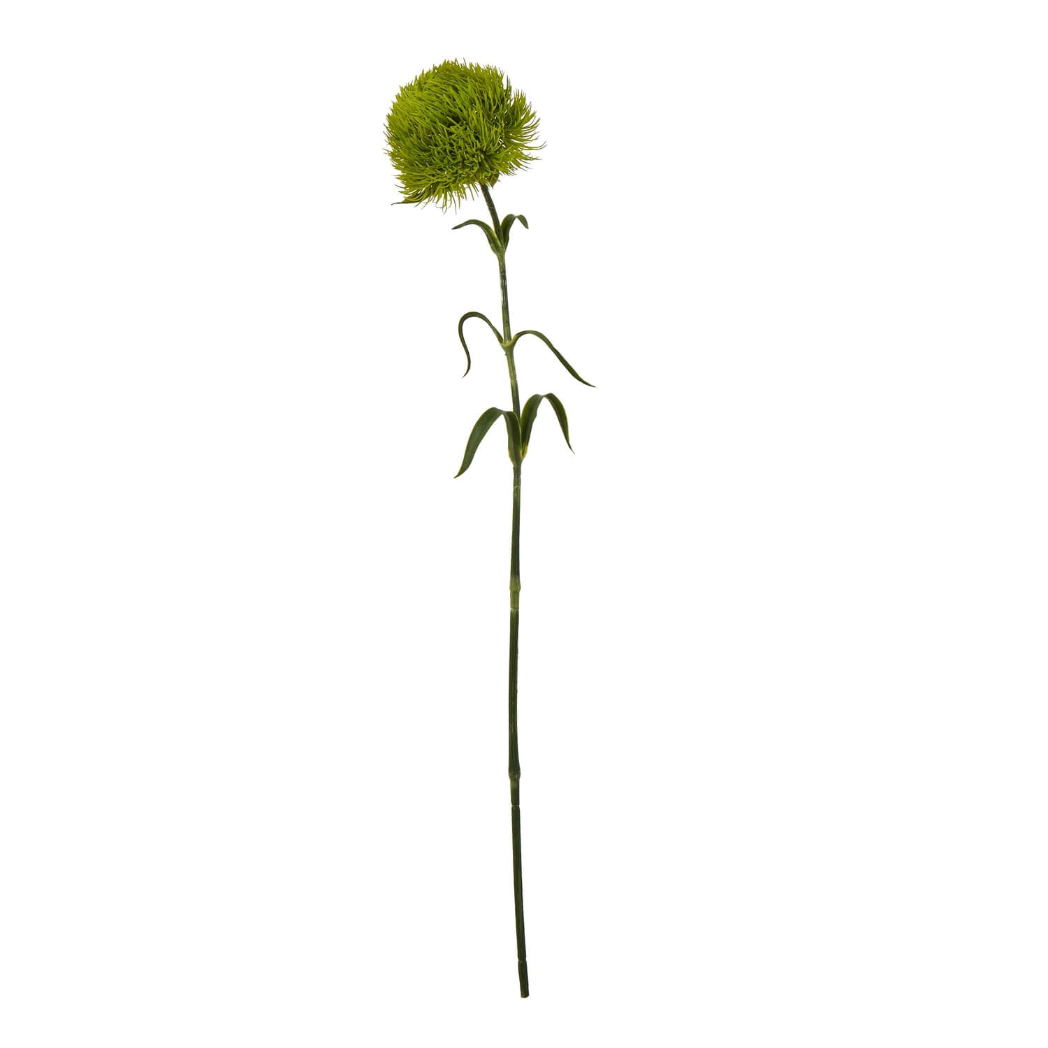 Vibrant green artificial dianthus stem, lifelike plastic flower for home decor, 53 cm tall  by Sostter at brixbailey.com