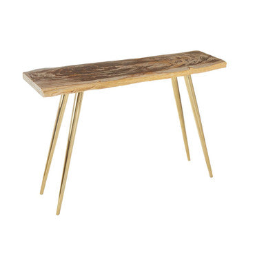 Natural Petrified Wood Console Table with Brass Iron Legs