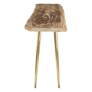 Natural Petrified Wood Console Table with Brass Iron Legs