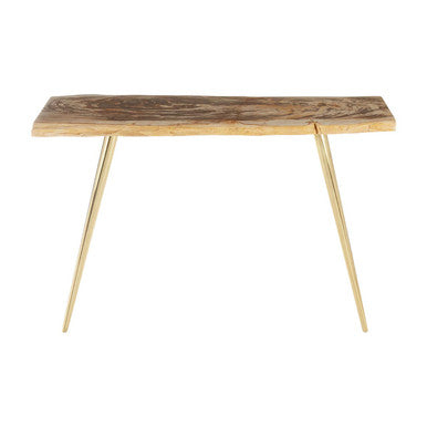 Natural Petrified Wood Console Table with Brass Iron Legs