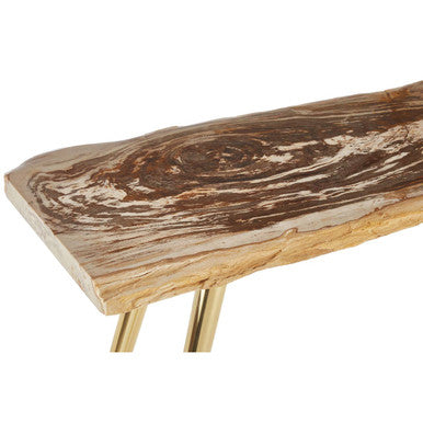 Natural Petrified Wood Console Table with Brass Iron Legs