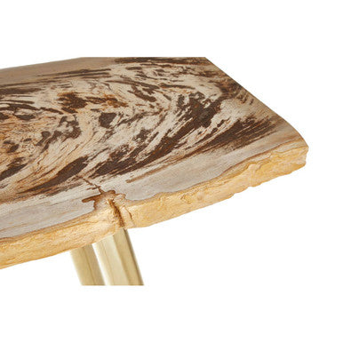 Natural Petrified Wood Console Table with Brass Iron Legs