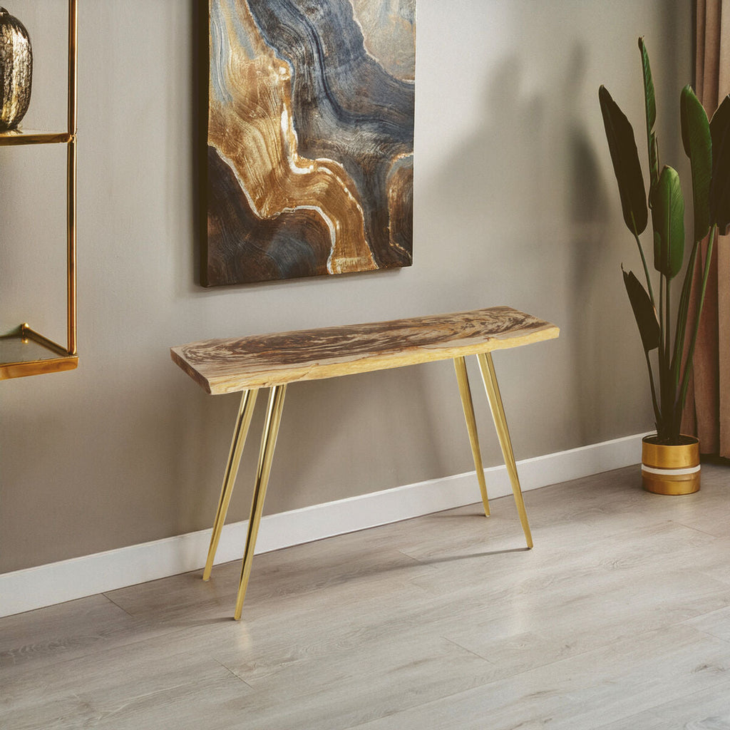 Natural Petrified Wood Console Table with Brass Iron Legs
