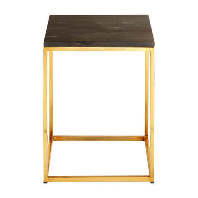Black Petrified Wood Square Side Table with Brass Iron Base