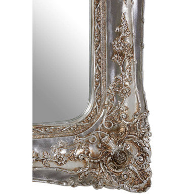 Champagne Baroque Wall Mirror