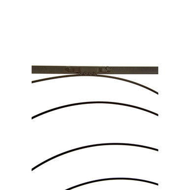 Small Black Metal Frame Leaf Design Wall Art