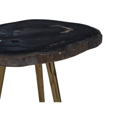 Brown Petrified Wood Side Table with Brass Angular Legs