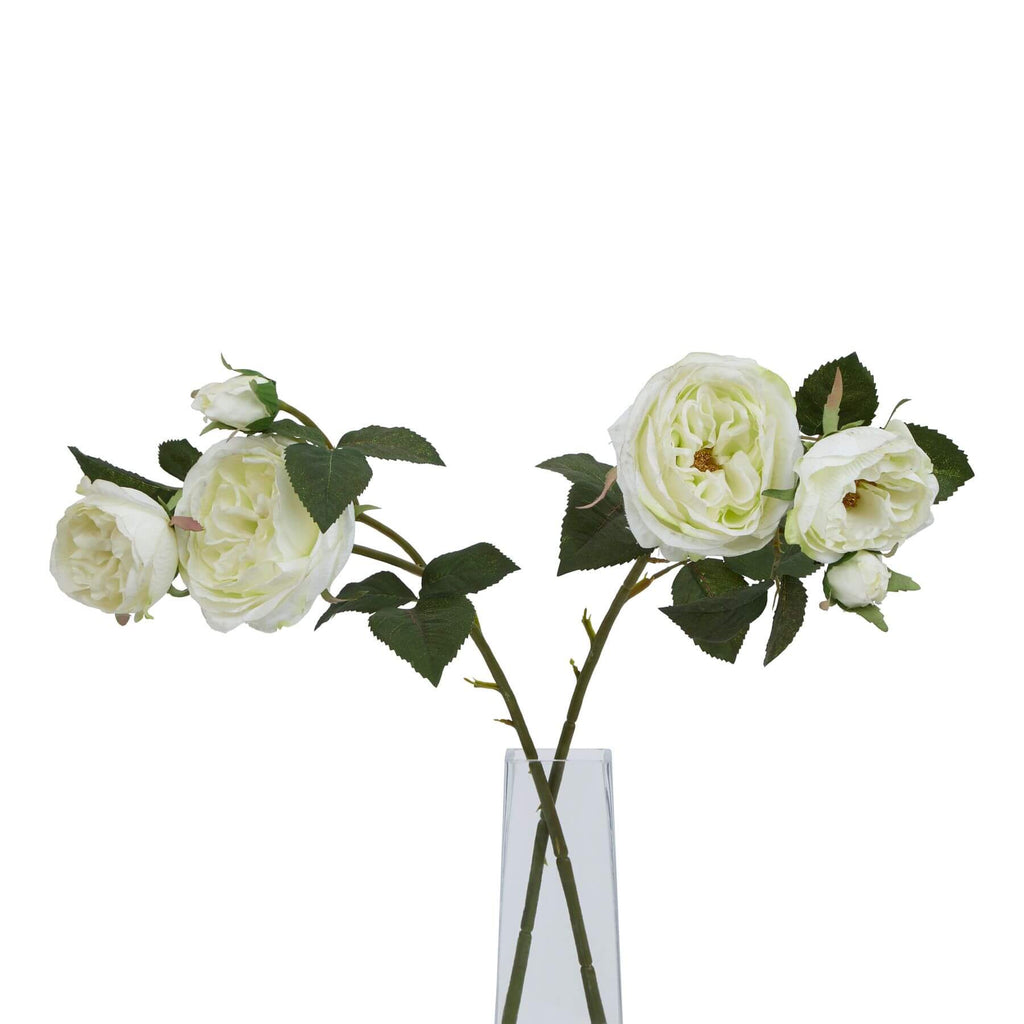 Artificial white charity rose with creamy petals and green foliage, lifelike botanical decor for farmhouse or Scandinavian interiors. by sostter at brixbailey.com