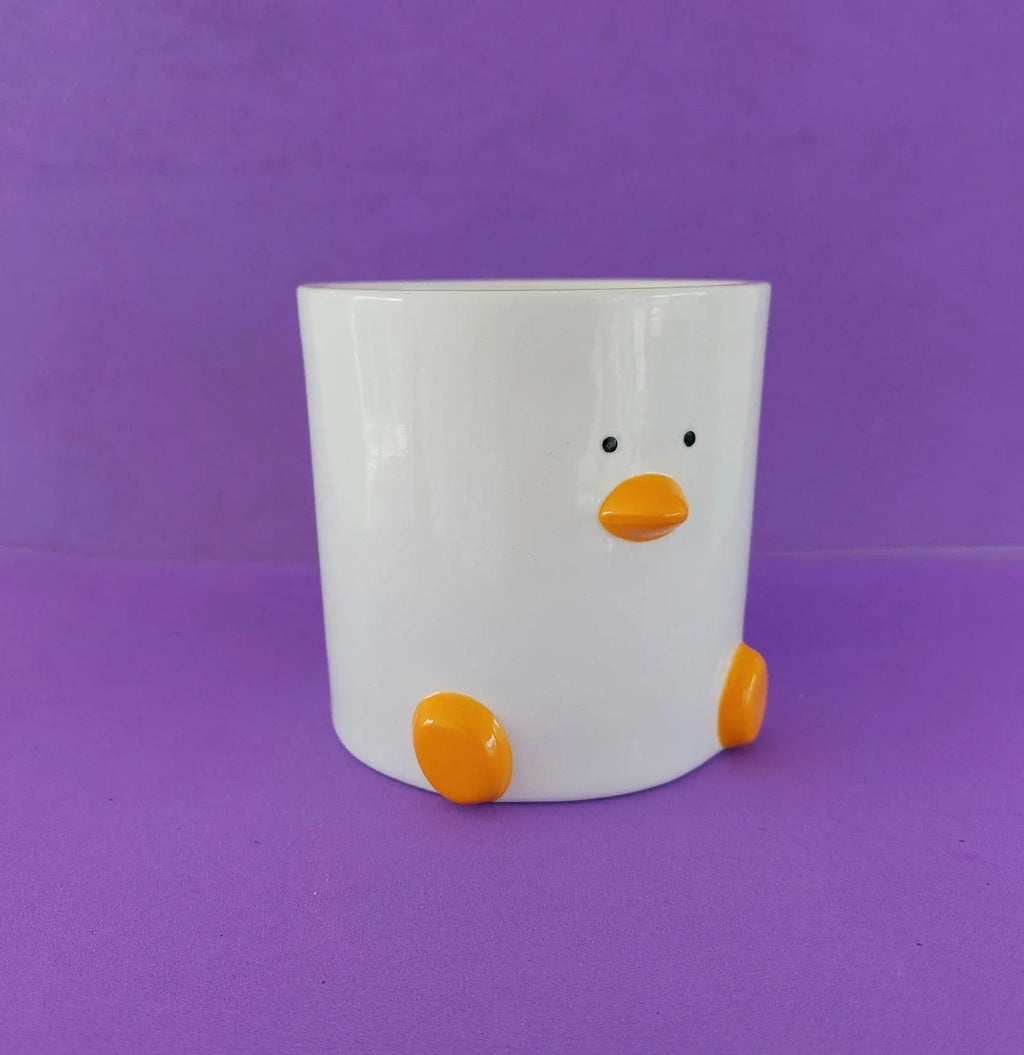 Duck Plant Pot 12cm with Drainage