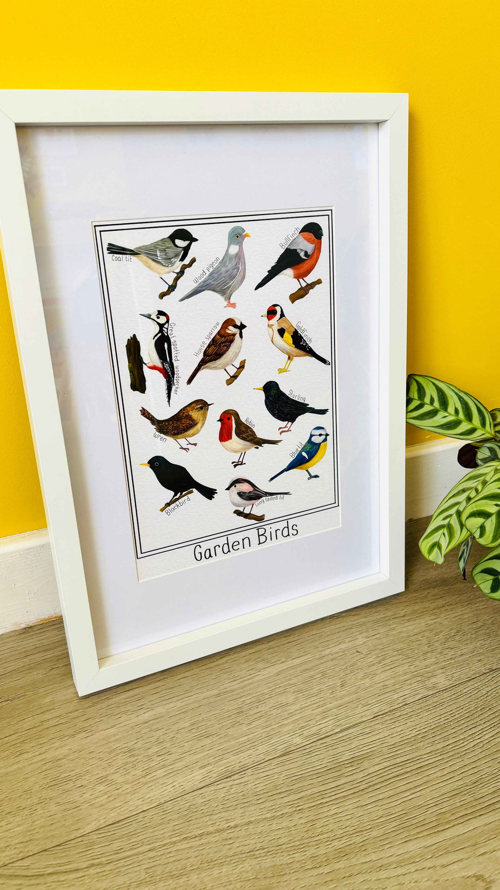 Garden British Birds Art Print Multiple Sizes