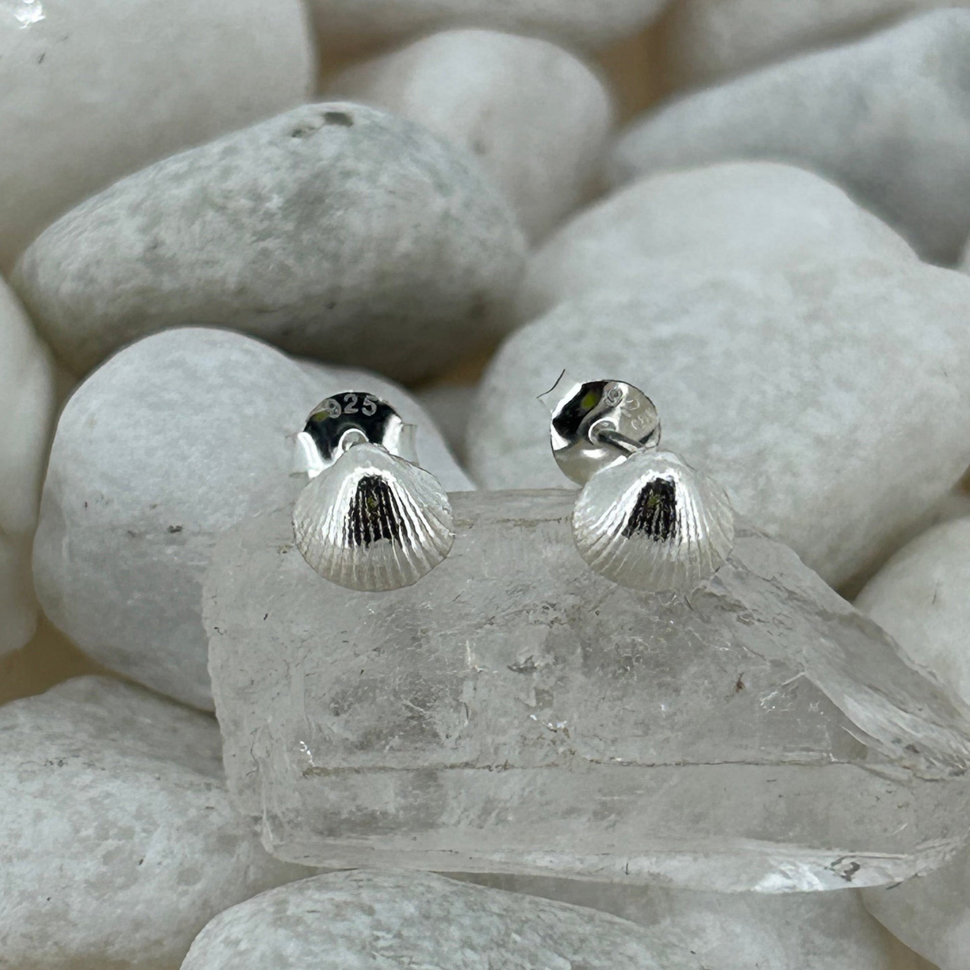 Mini Shell Studs in Sterling Silver