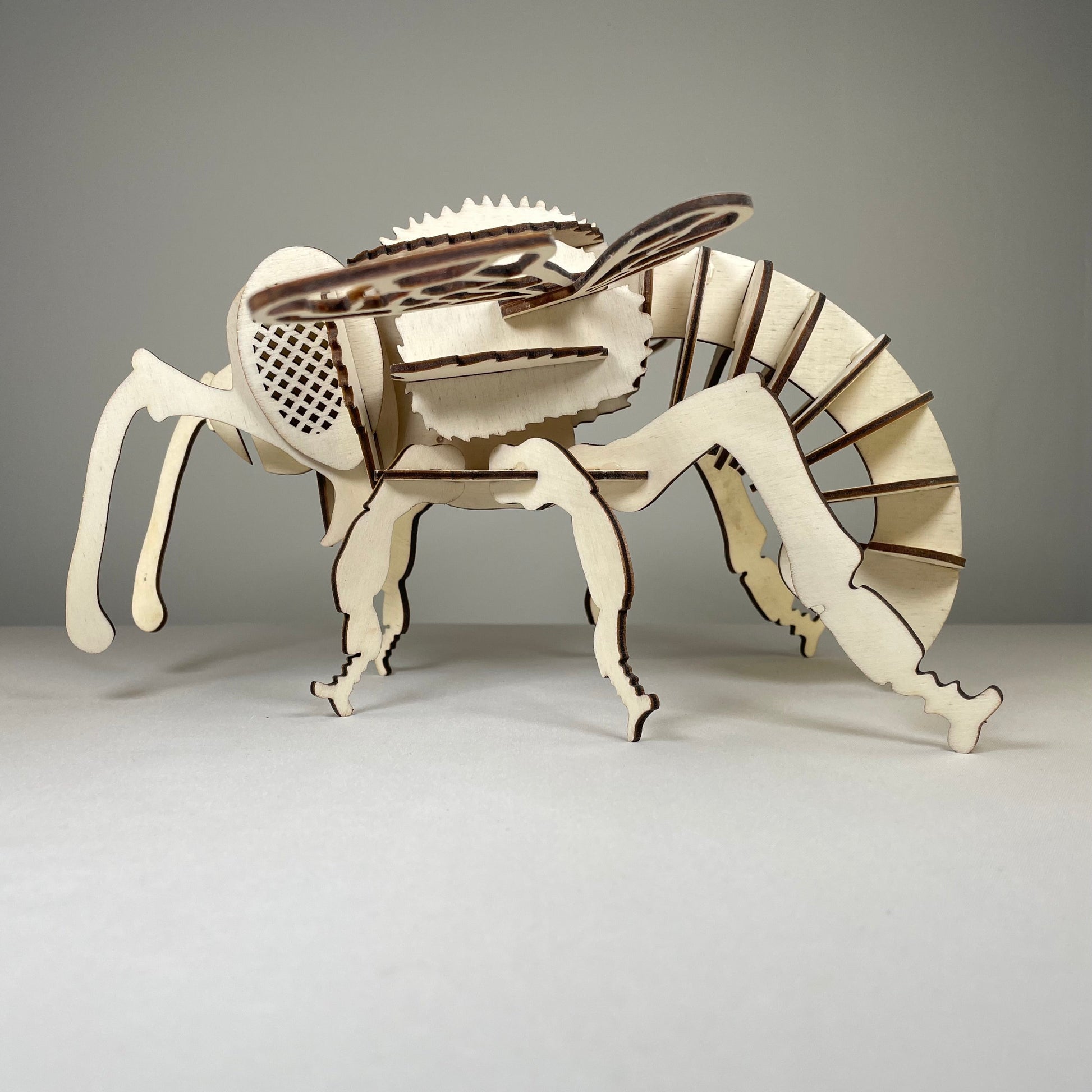 Bee Puzzle Pre-Built Model