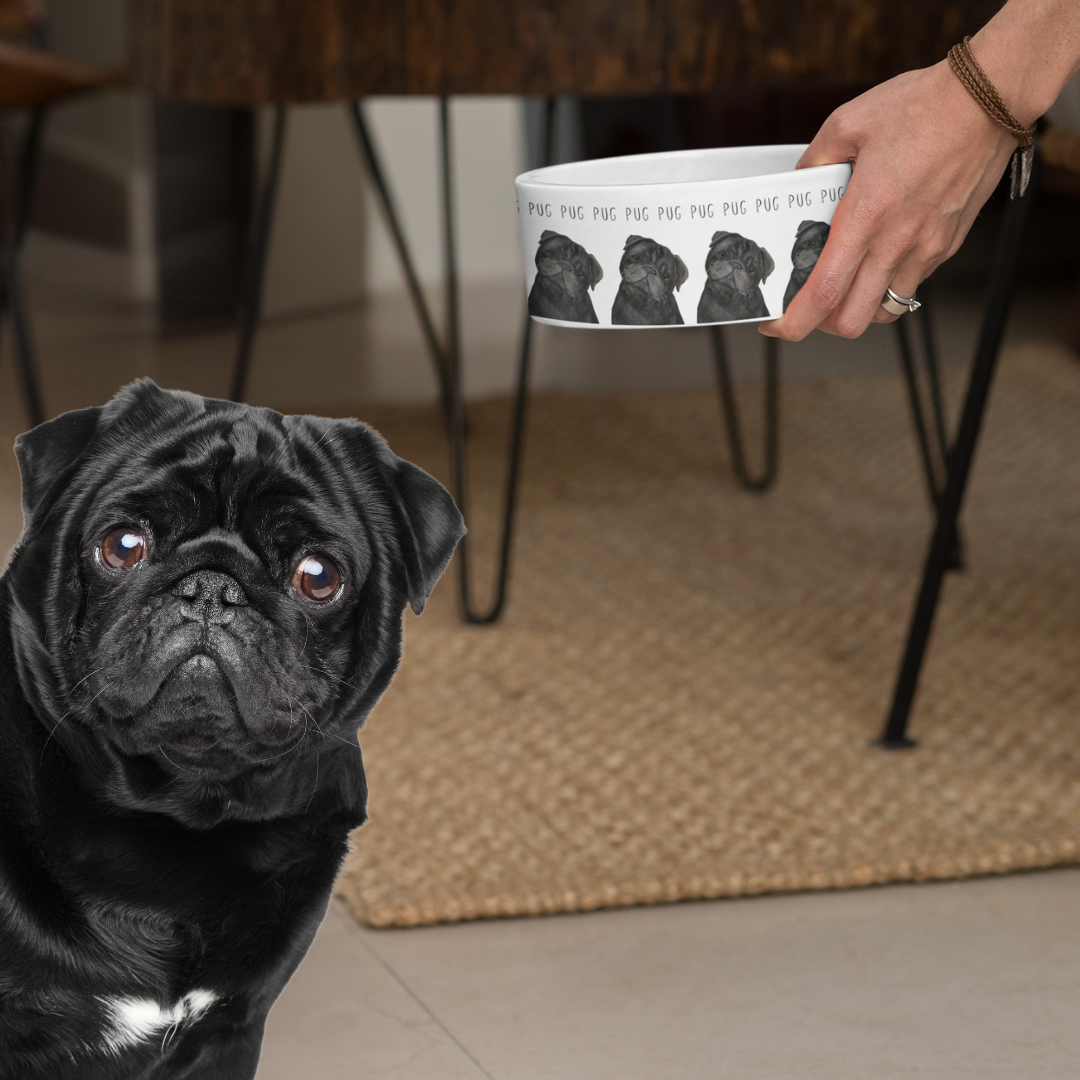 Black Ceramic Dog Bowl for Pugs