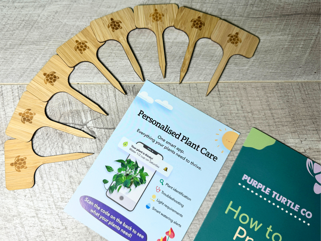 Plant Propagation Gift Set for Home Growers