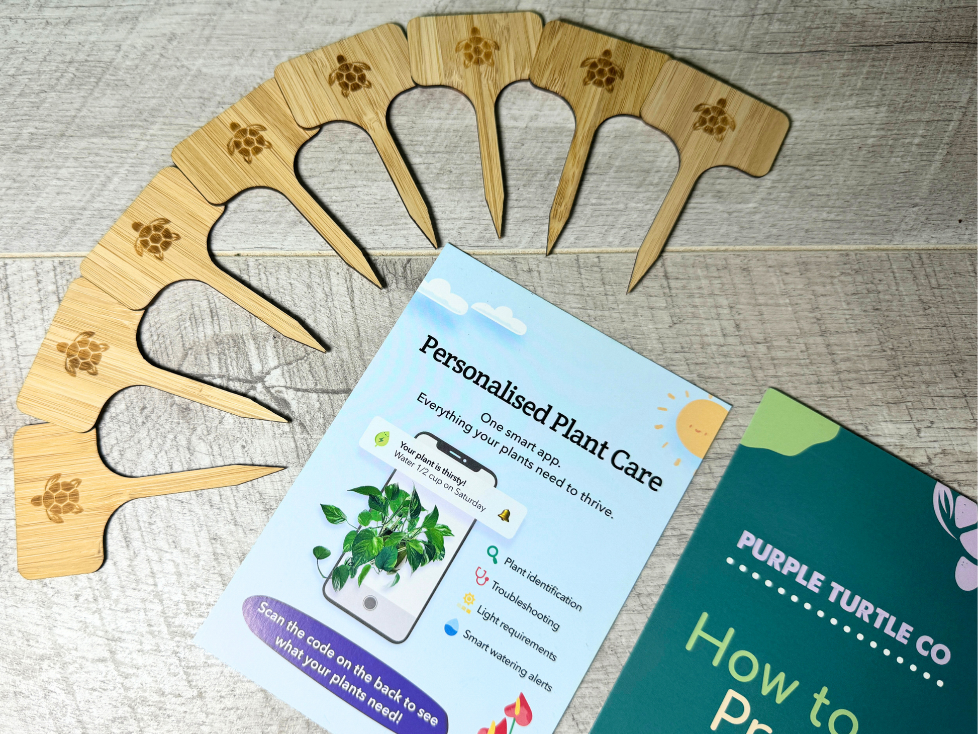 Plant Propagation Gift Set for Home Growers