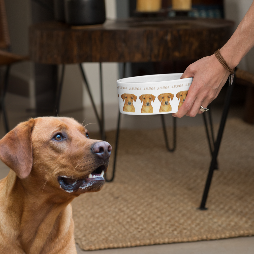 Luxe Ceramic Dog Bowl for Lab Lovers