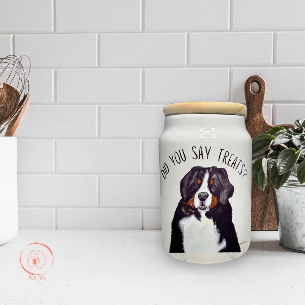 Ceramic Treat Jar for Dogs with Wooden Lid