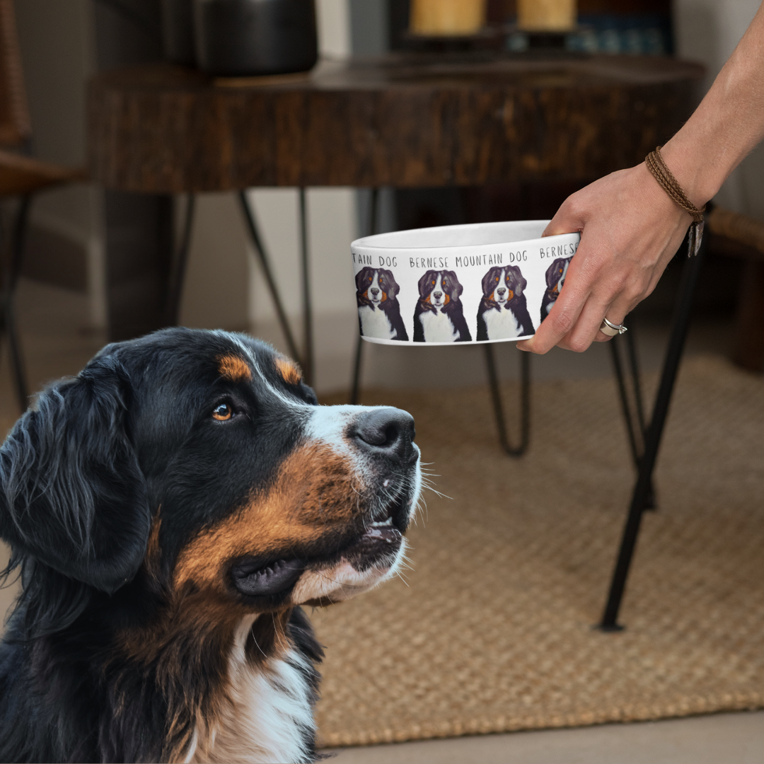 The Ultimate Big Dog Bowl